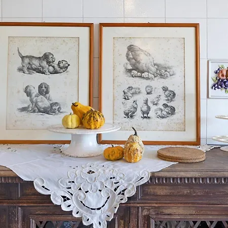 アパート Residenza Stoechas White *