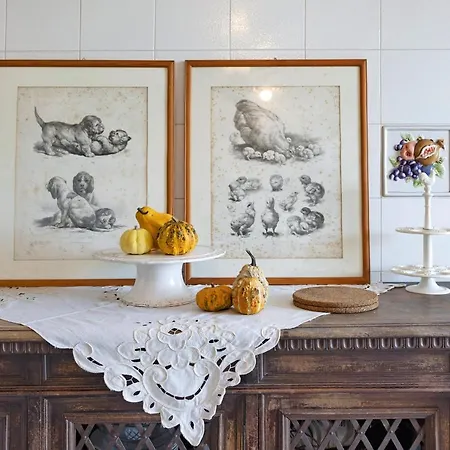 Residenza Stoechas White